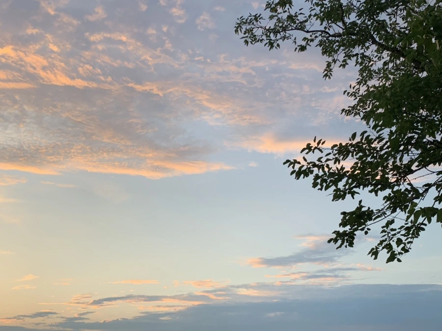 IMG_1203.jpg?type=w966