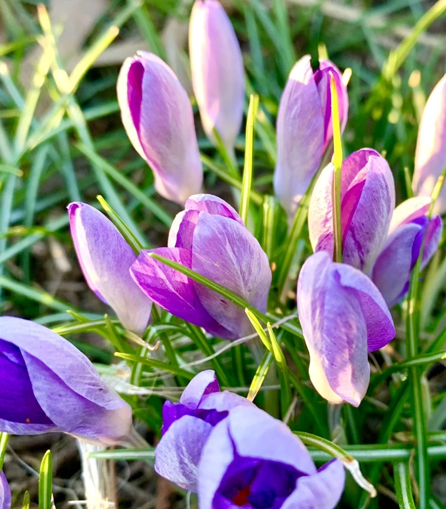 IMG_0757.jpg?type=w966