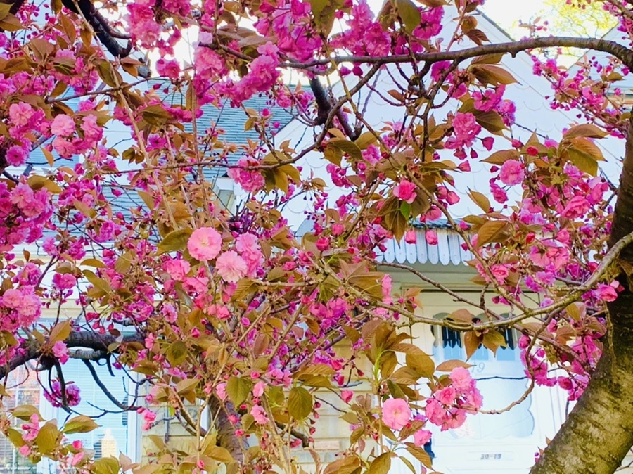 IMG_4184.jpg?type=w966