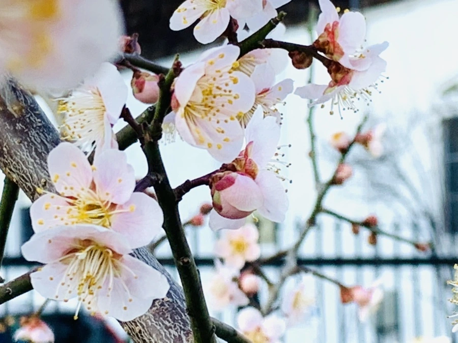 IMG_0888.jpg?type=w966