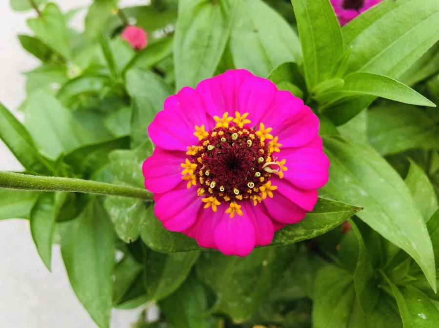 IMG_3648.jpg?type=w966