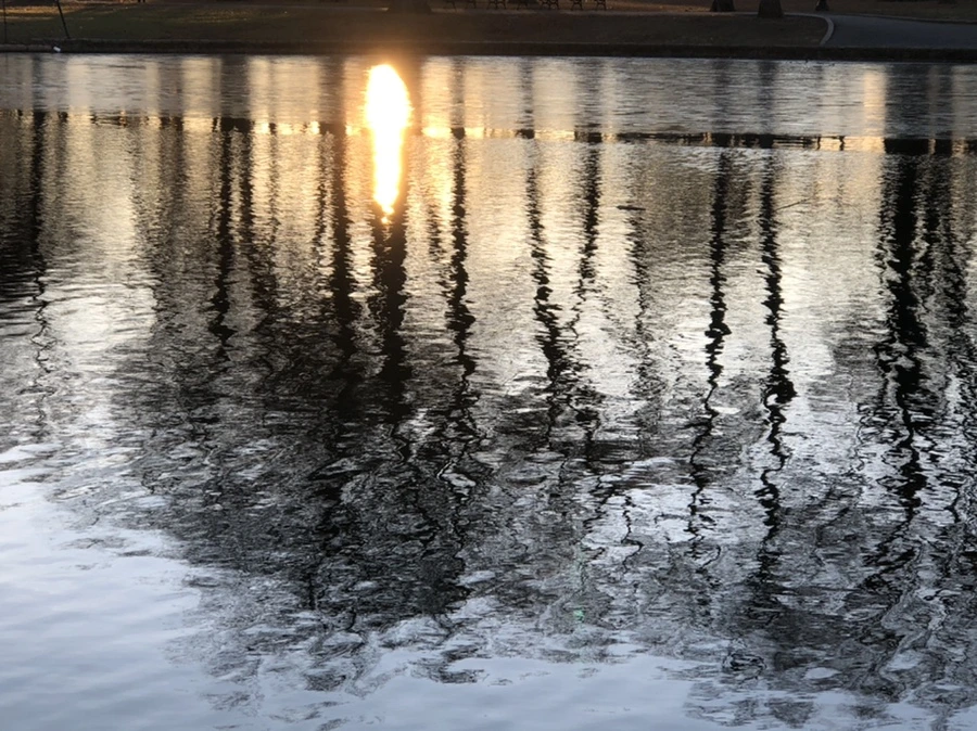 IMG_0764.jpg?type=w966