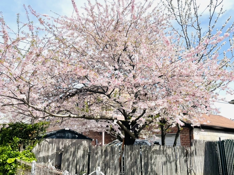 IMG_0841.jpg?type=w966