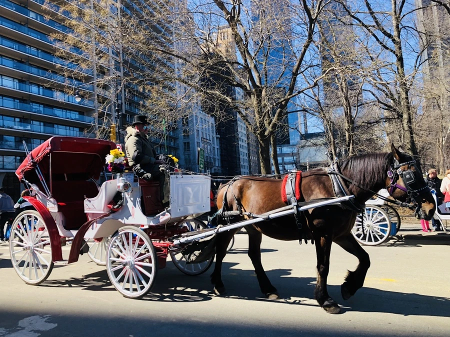 IMG_1189.jpg?type=w966