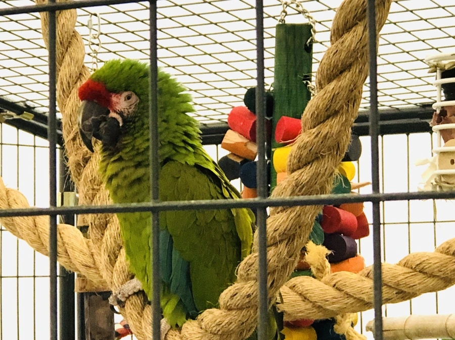 IMG_7512.jpg?type=w966