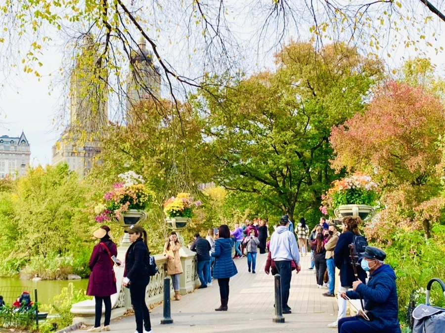 IMG_0163.jpg?type=w966