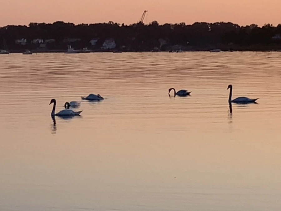 IMG_0168.jpg?type=w966