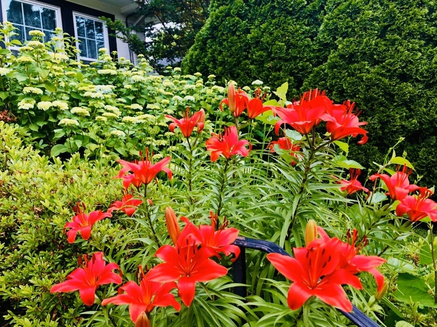 NiIDik9MCNpeNuy9lJqBF1HTGhM