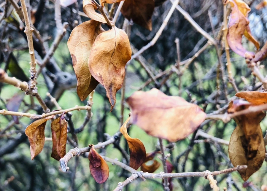 IMG_6360.jpg?type=w966