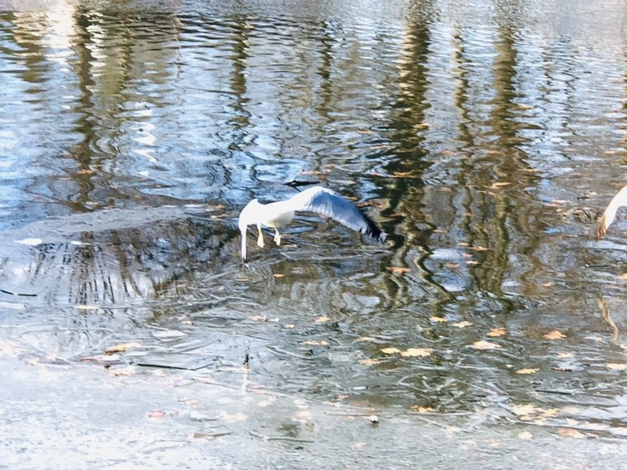 fInr6vSuOJd6Jy_HrwJElRBhtiw