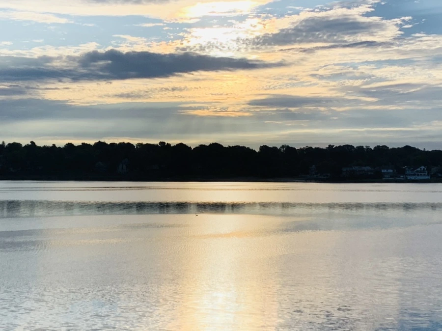 IMG_7720.jpg?type=w966