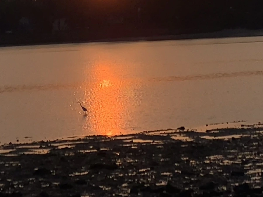 IMG_7722.jpg?type=w966