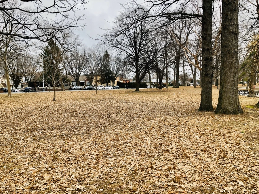 IMG_3468.jpg?type=w966