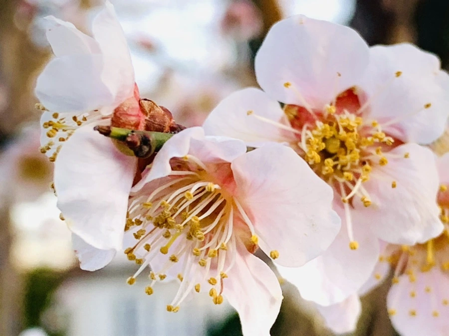 IMG_2343.jpg?type=w966