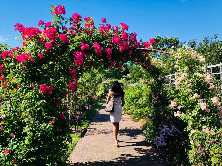 IMG_7764.jpg?type=w966