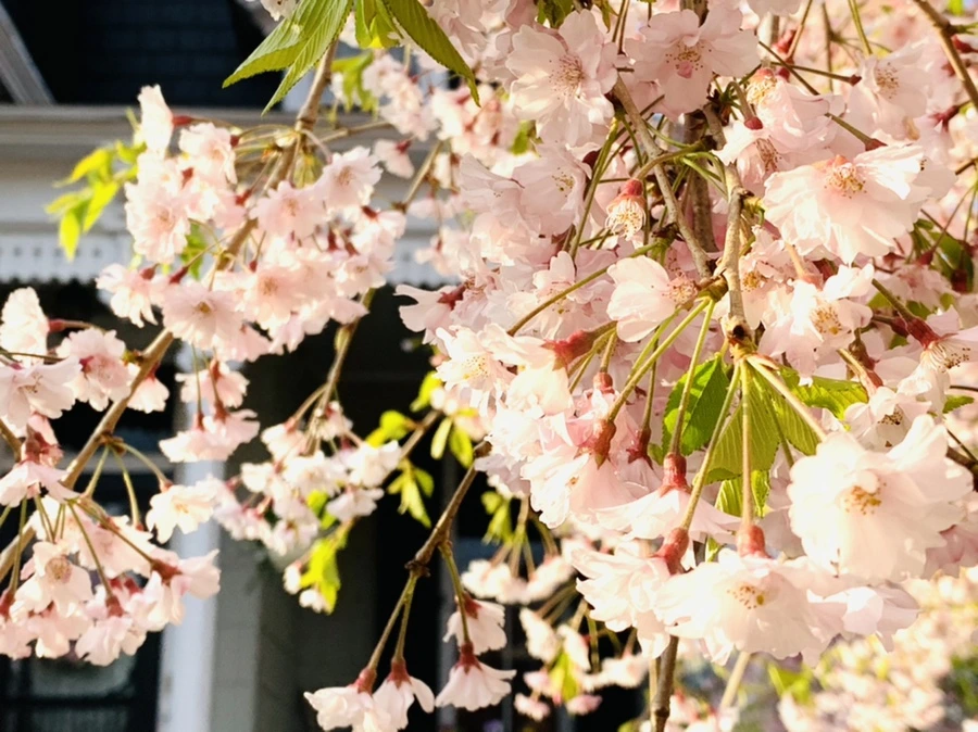 IMG_3672.jpg?type=w966