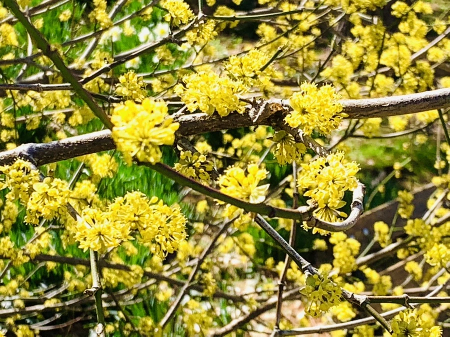 IMG_5674.jpg?type=w966