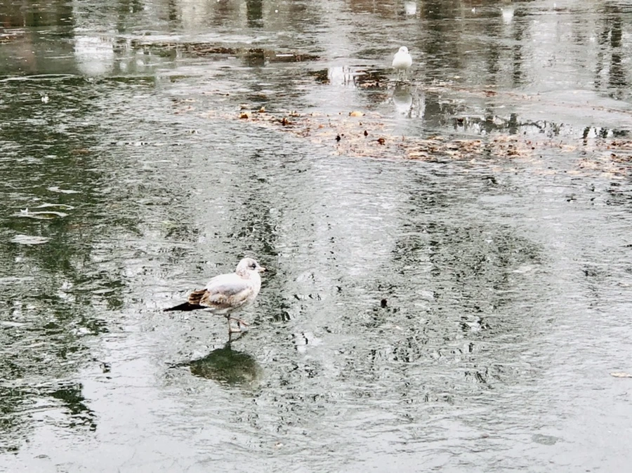 IMG_3121.jpg?type=w966