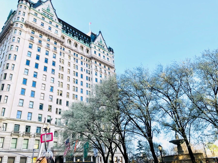 IMG_4489.jpg?type=w966