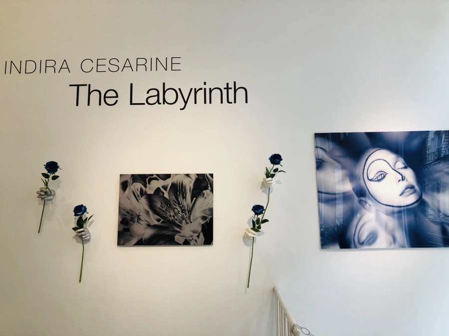 IMG_6953.jpg?type=w966