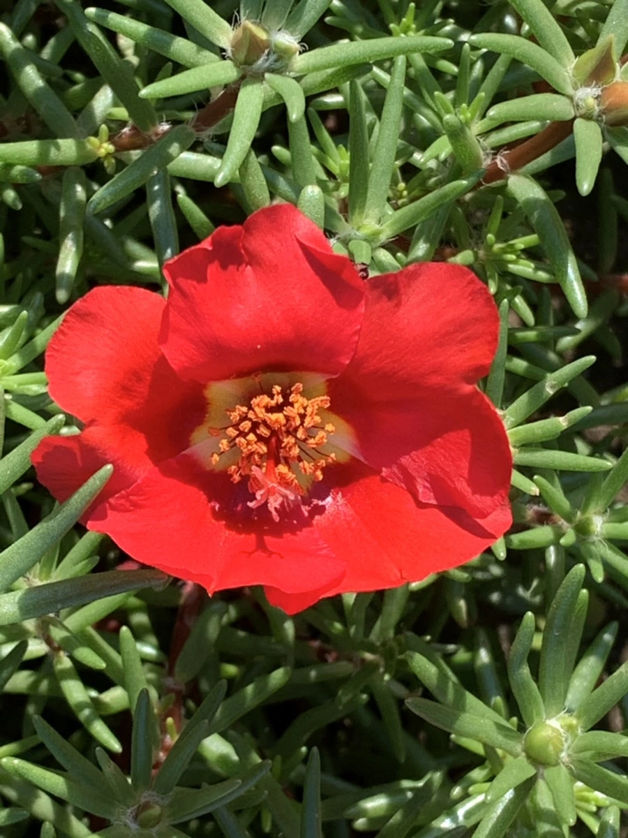 IMG_8377.jpg?type=w966