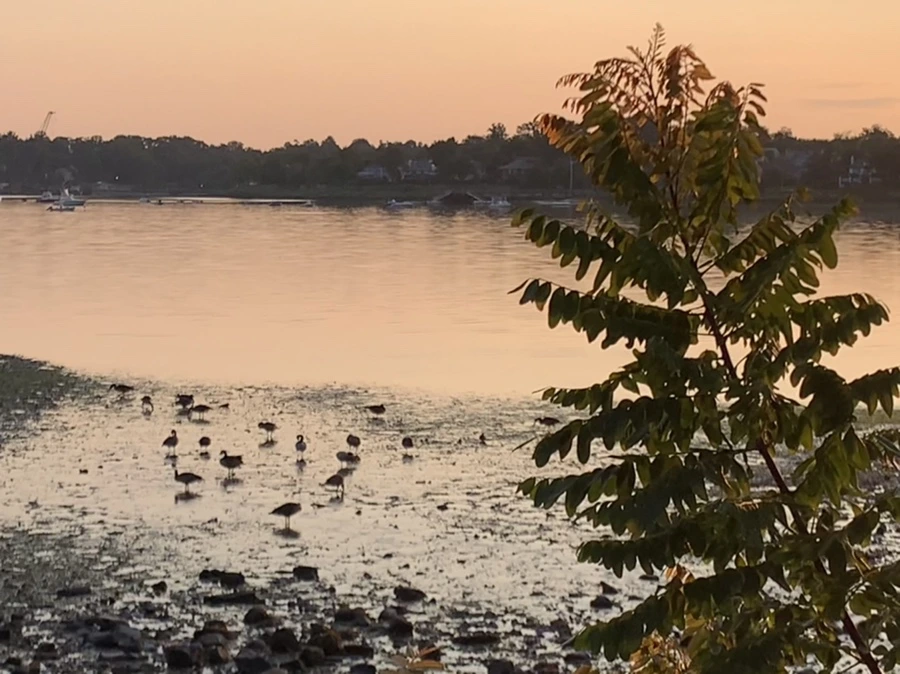 IMG_9586.jpg?type=w966