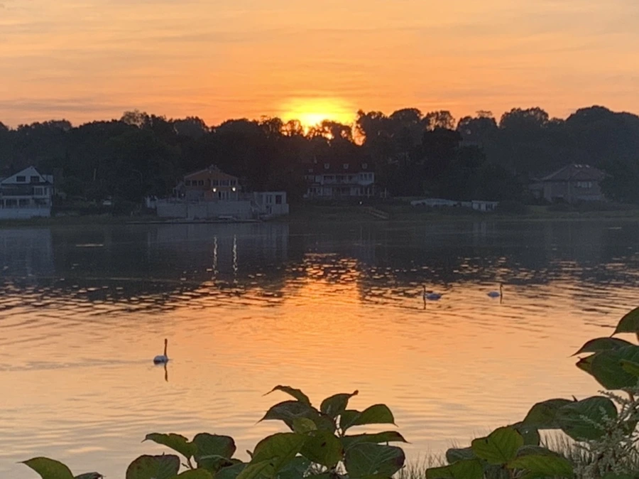 IMG_6826.jpg?type=w966