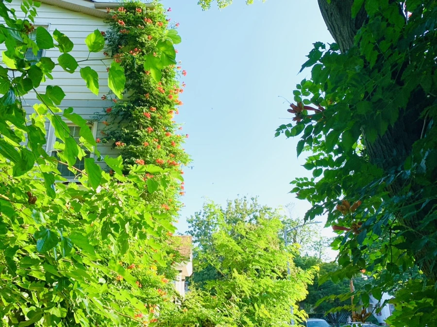 IMG_8247.jpg?type=w966