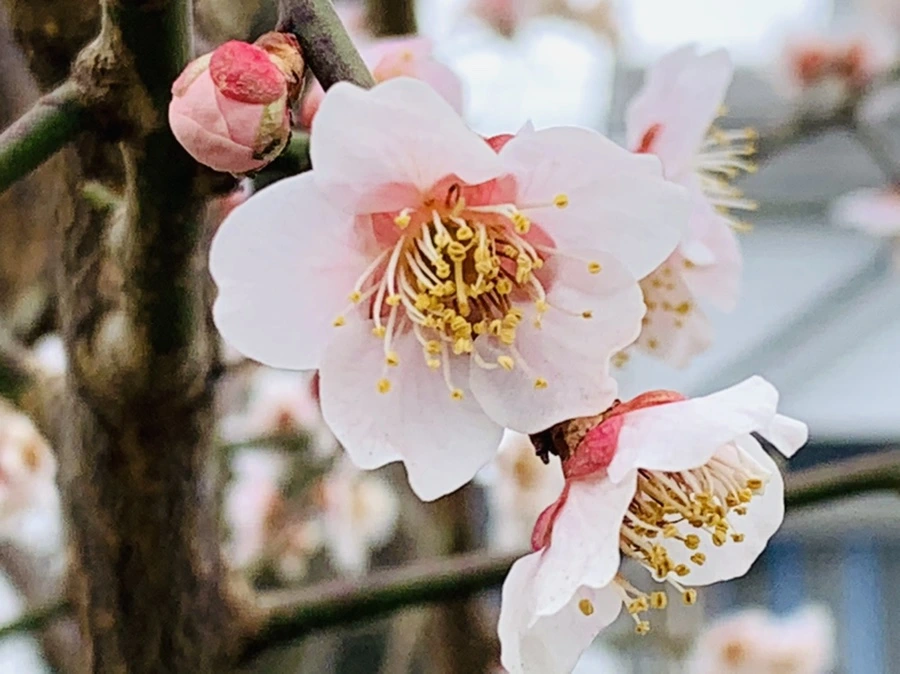 IMG_3564.jpg?type=w966