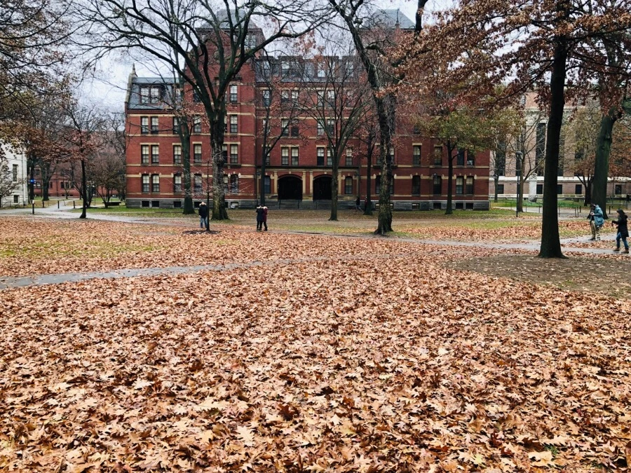 0Wu2tljr7ZeoaYtTAVT8XJu8QSM