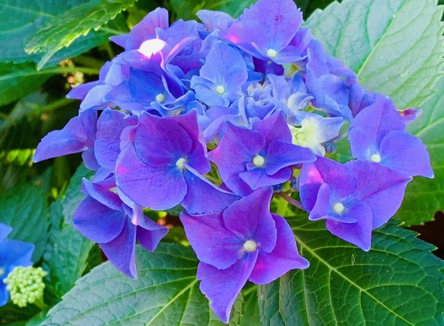 U0qxEgZDC0MF0TB4M4wNW8FG_3k