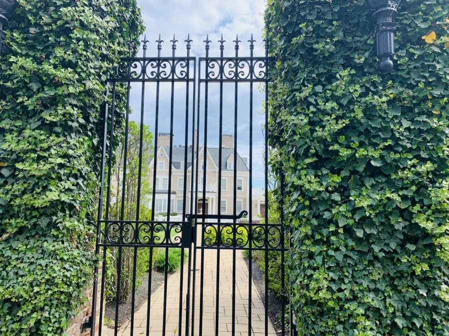 IMG_2811.jpg?type=w966