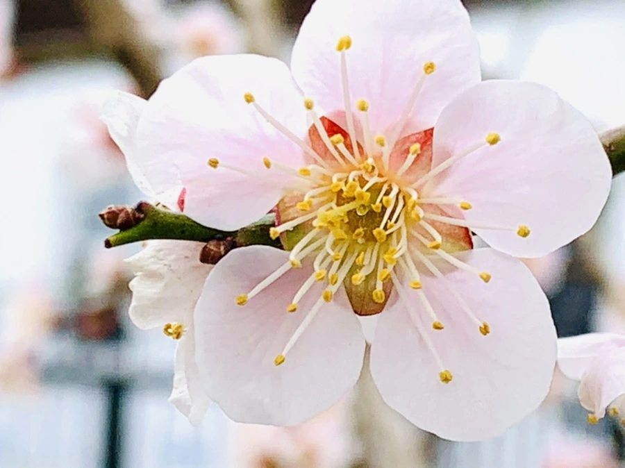 IMG_3662.jpg?type=w966