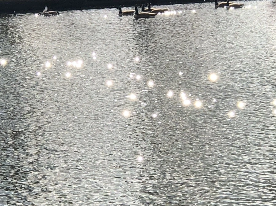 caVUs9LTMjVTgnQwcVOPonxLqO0