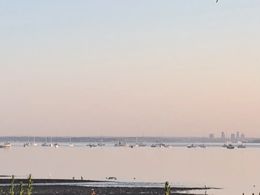 IMG_0245.jpg?type=w966