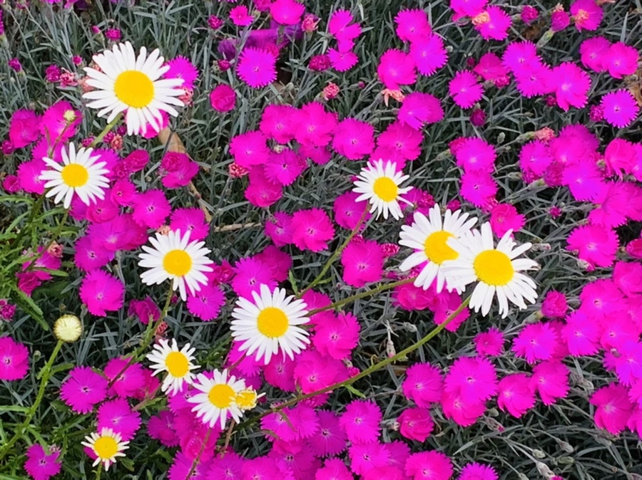 IMG_4907.jpg?type=w966