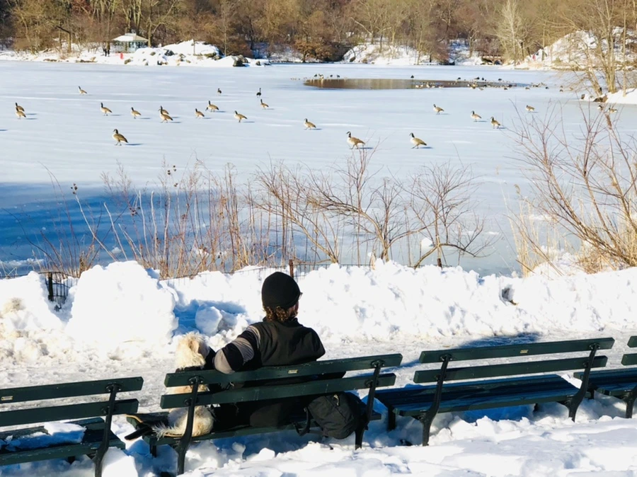 IMG_9885.jpg?type=w966