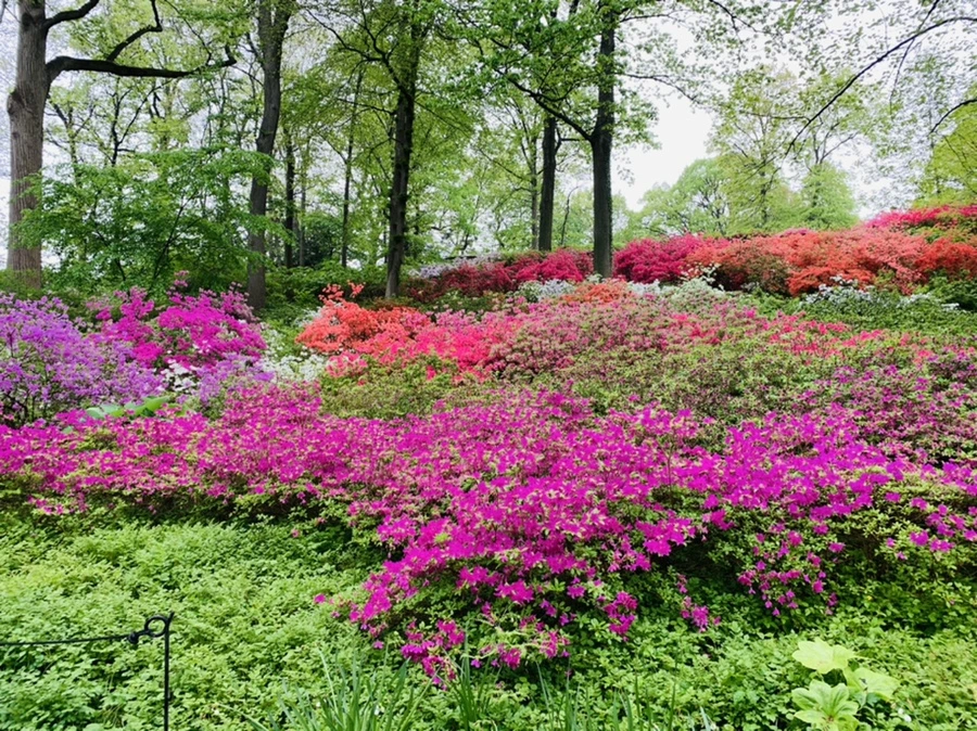 IMG_9935.jpg?type=w966