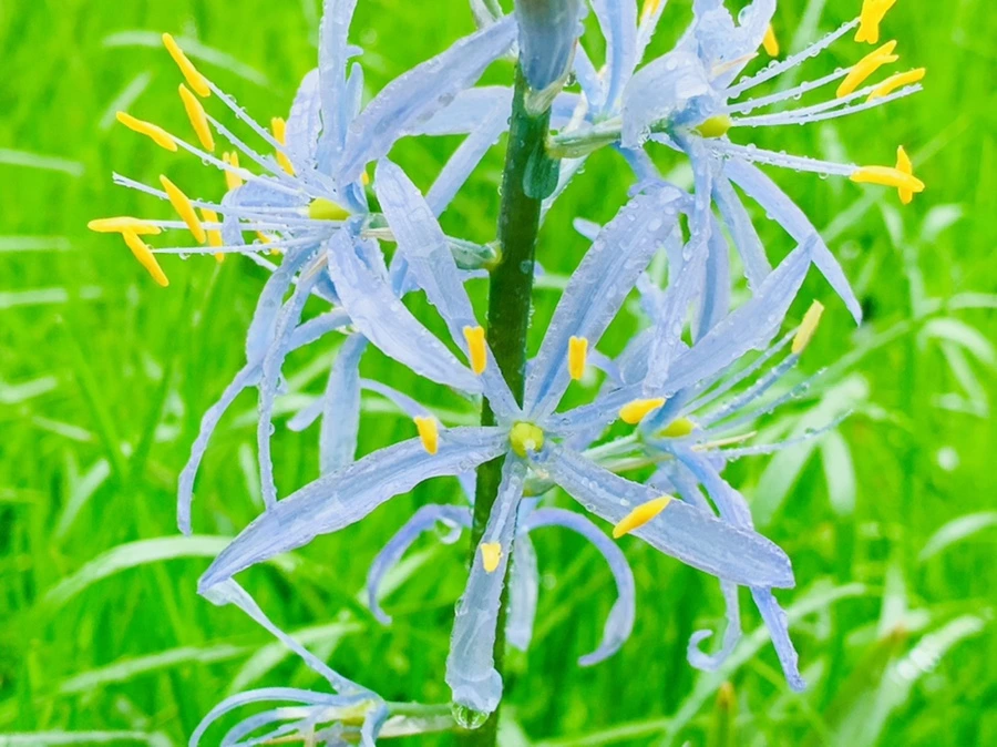 IMG_9905.jpg?type=w966