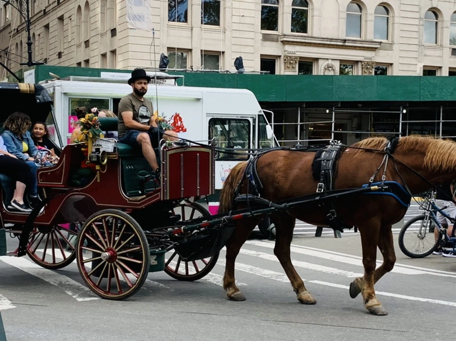 IMG_6481.jpg?type=w966