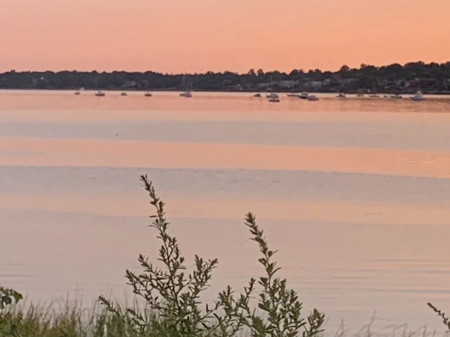 IMG_7471.jpg?type=w966