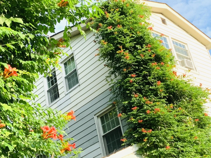 IMG_5852.jpg?type=w966