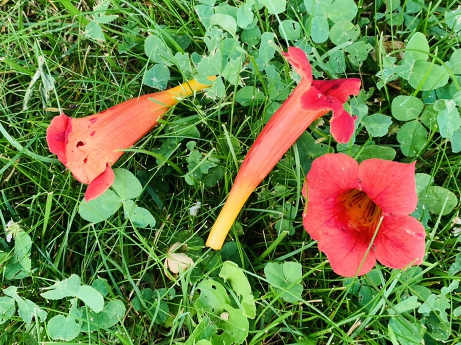 IMG_5713.jpg?type=w966