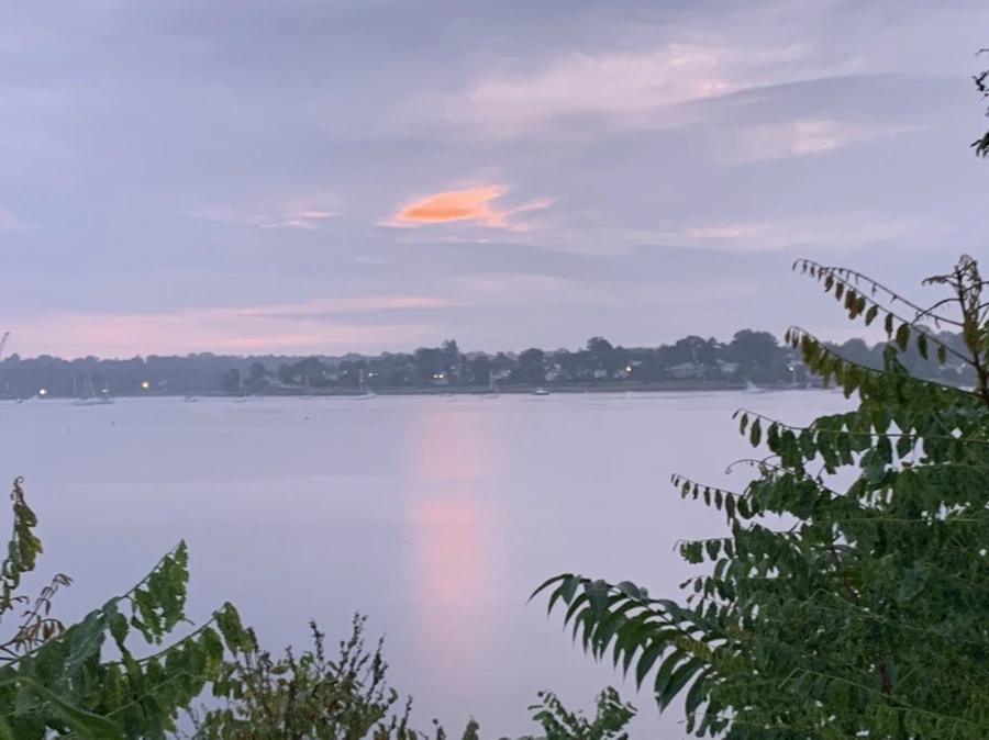 IMG_0117.jpg?type=w966