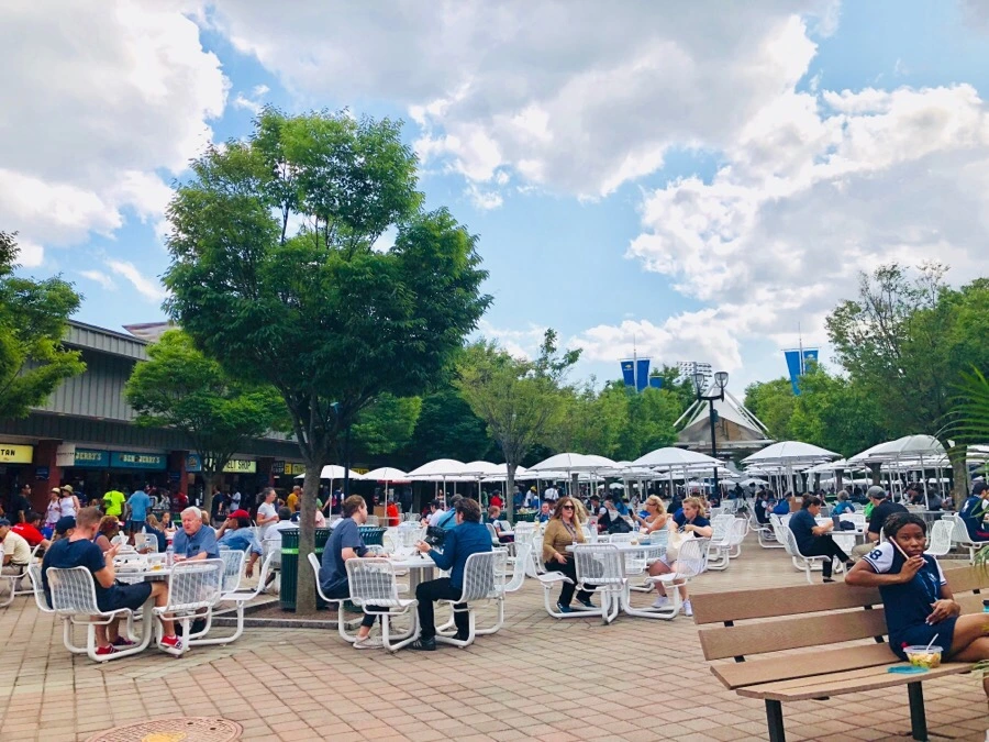 IMG_2215.jpg?type=w966