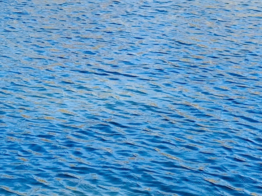 IMG_9887.jpg?type=w966