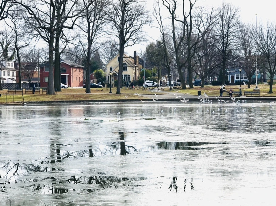 IMG_2026.jpg?type=w966