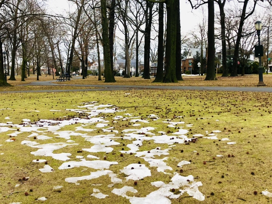 IMG_6298.jpg?type=w966