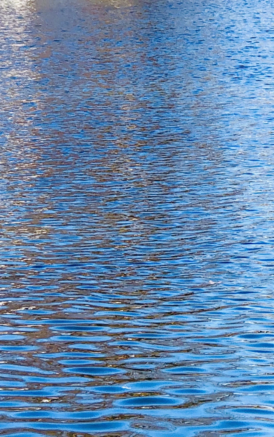 IMG_3773.jpg?type=w966