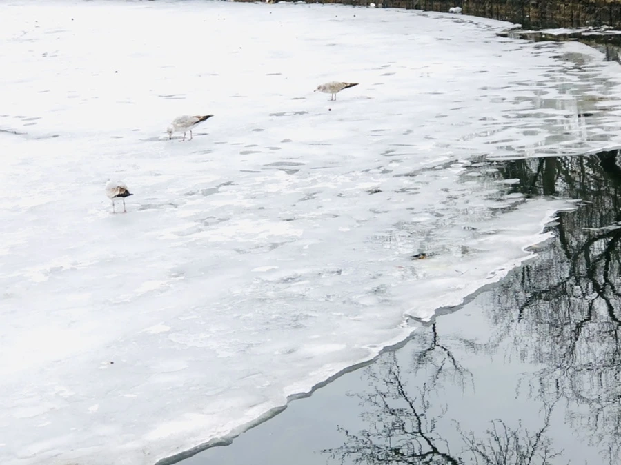 IMG_6507.jpg?type=w966